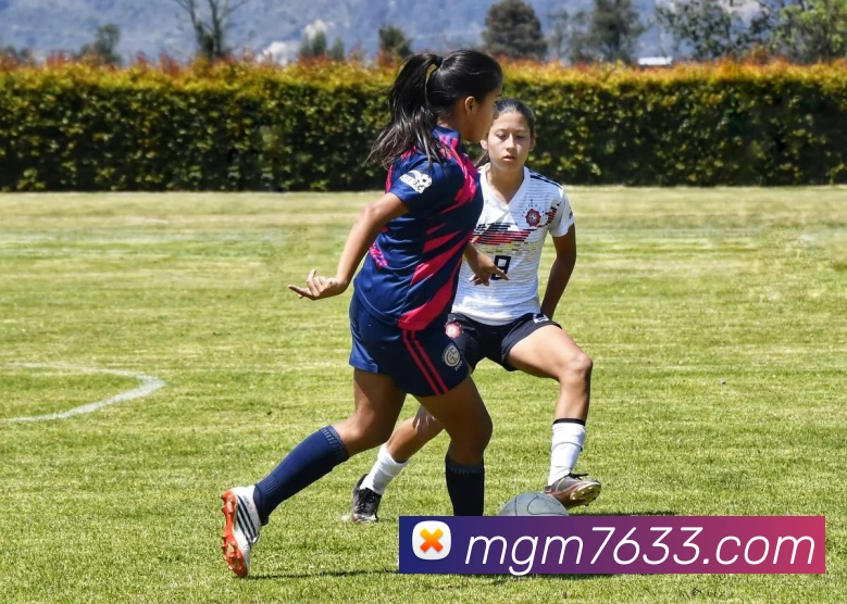 美高梅官网首页服务体系